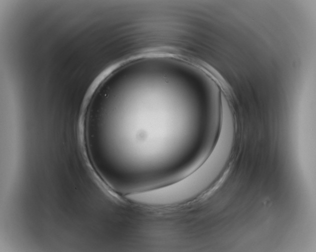 X0000114591196200910191551