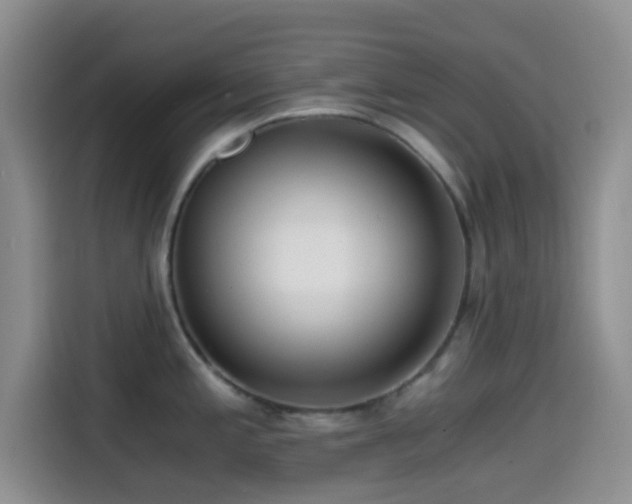 X0000114591197200910191551