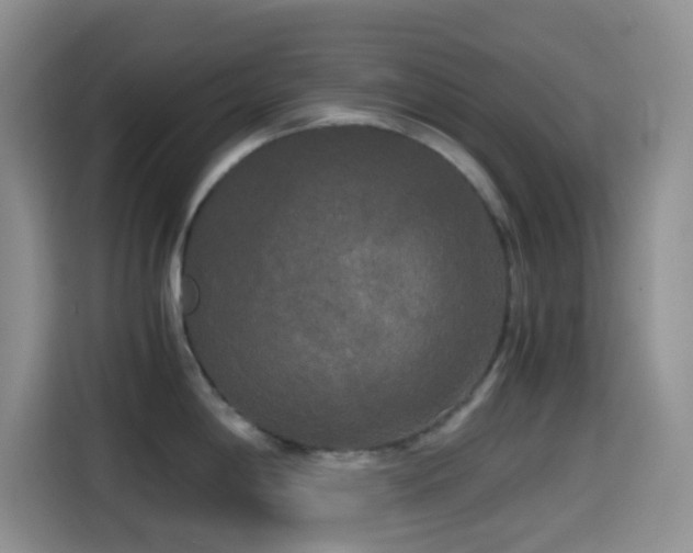 X0000114591198200910191551