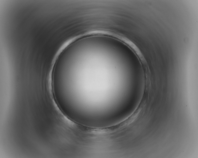 X0000114591199200910191551