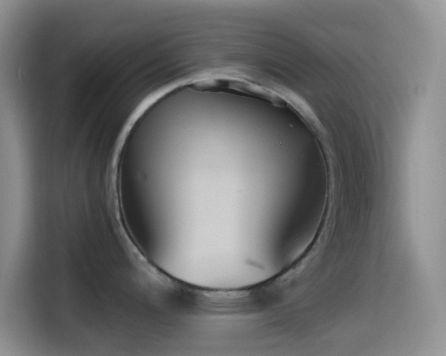 X0000114591200200910191551