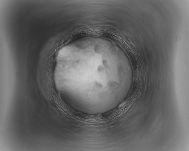 X0000114591201200910191550