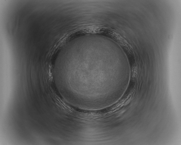 X0000114591202200910191550