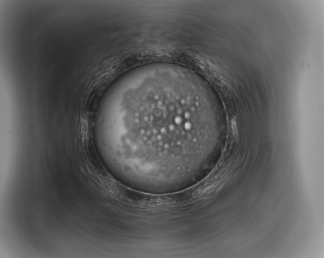 X0000114591203200910191550