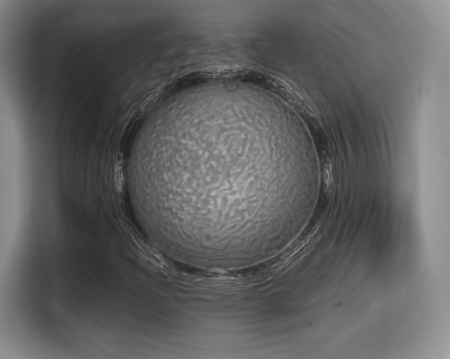 X0000114591204200910191550