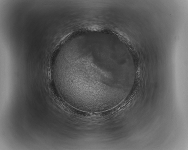 X0000114591205200910191550