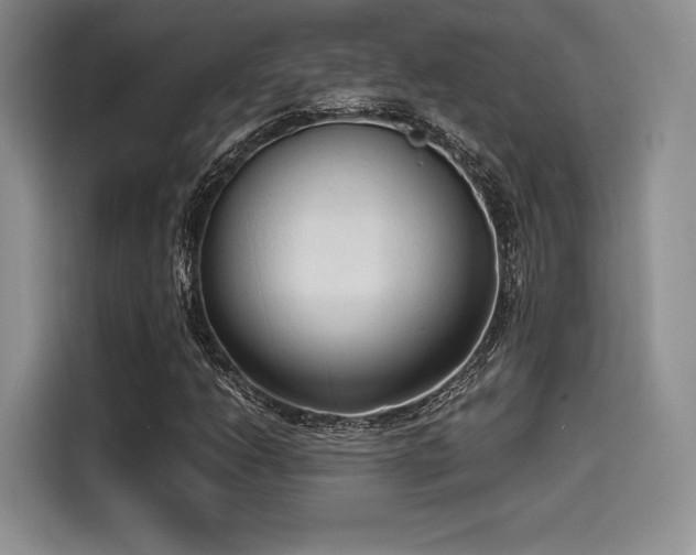 X0000114591206200910191550