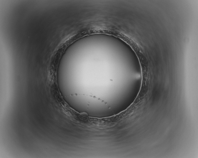 X0000114591207200910191550