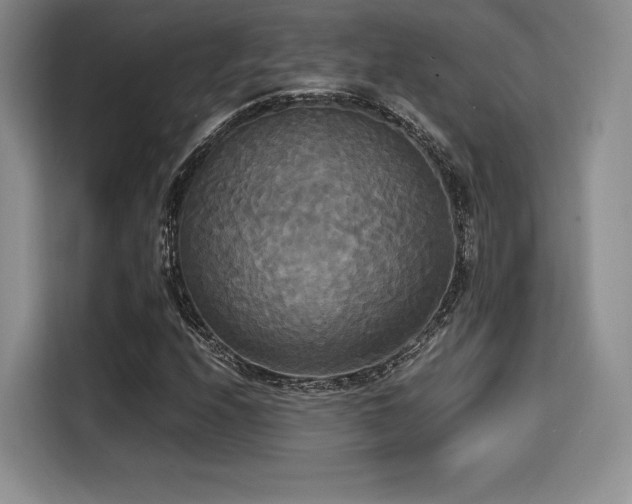 X0000114591208200910191550
