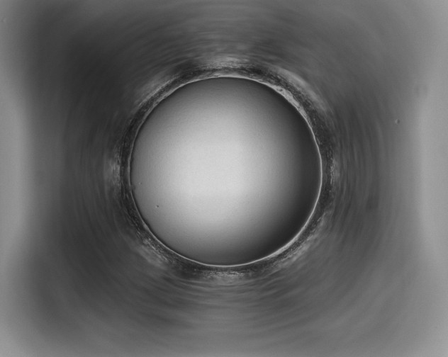 X0000114591209200910191550