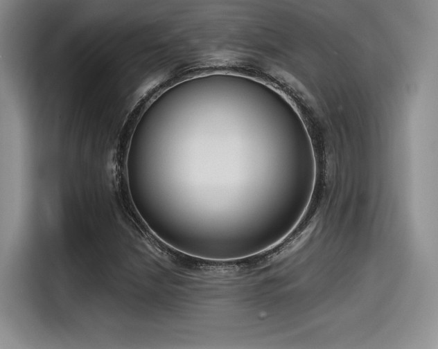 X0000114591210200910191550