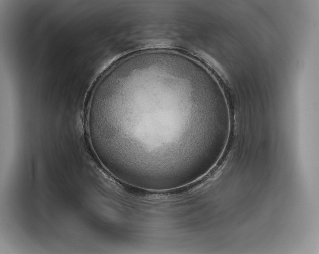 X0000114591212200910191550