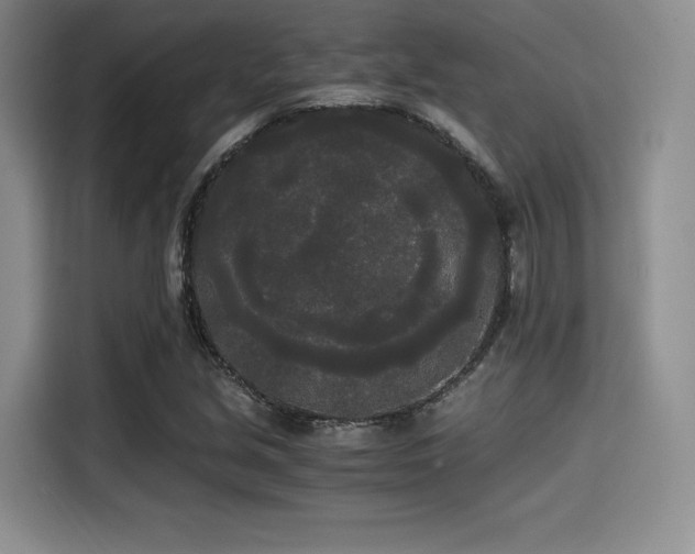 X0000114591213200910191550