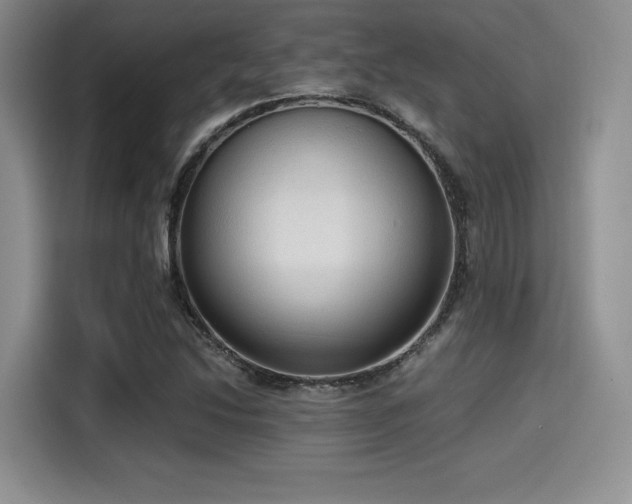X0000114591214200910191550