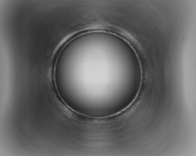 X0000114591216200910191550