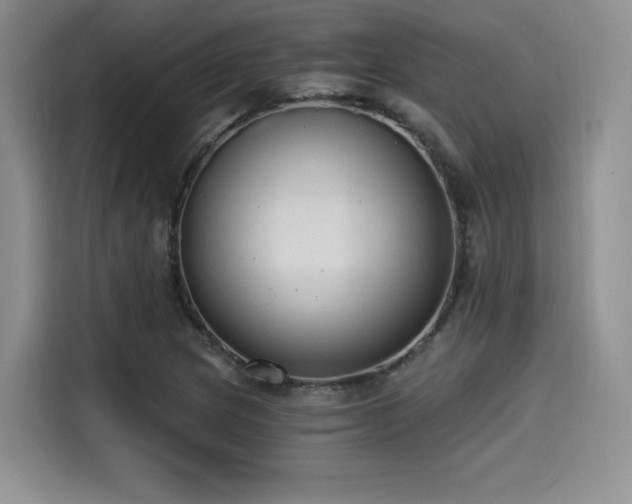 X0000114591217200910191550