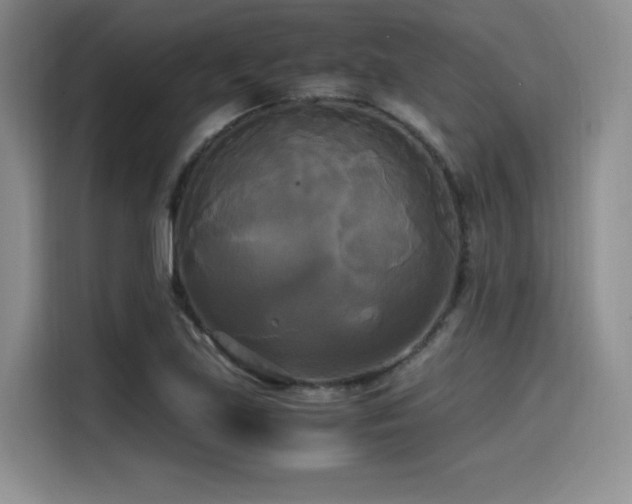 X0000114591219200910191550