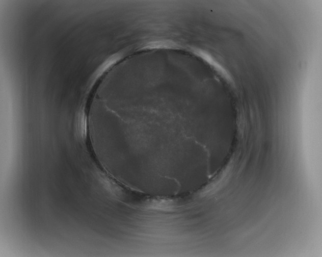 X0000114591221200910191550