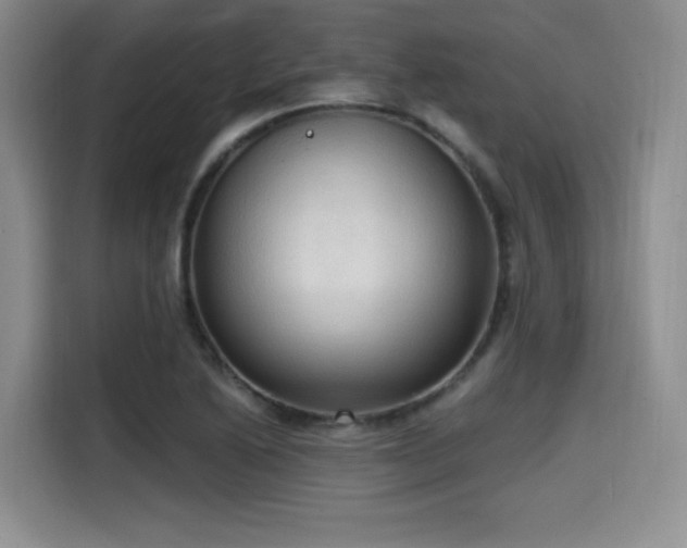 X0000114591222200910191550