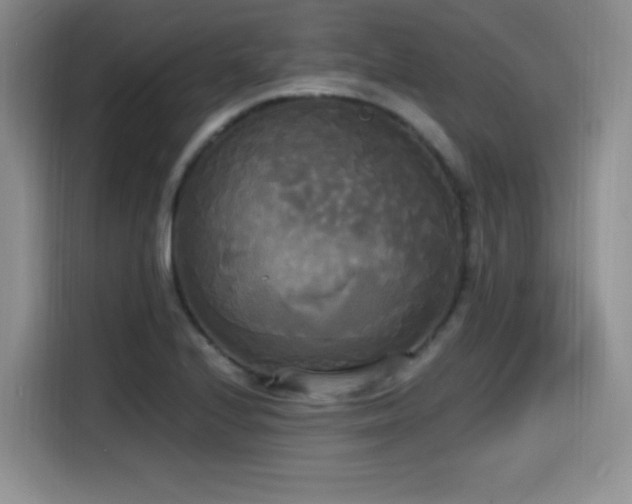 X0000114591224200910191550