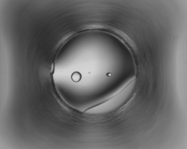 X0000114591225200910191550