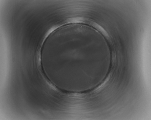 X0000114591226200910191550