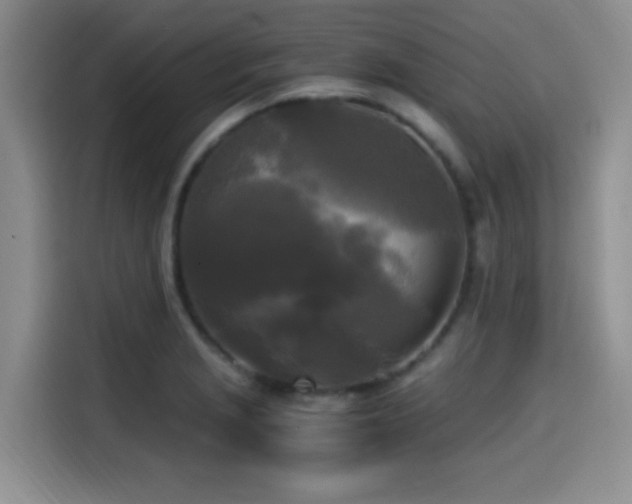 X0000114591229200910191550