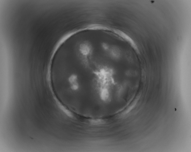 X0000114591231200910191550