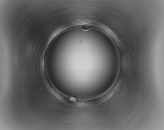 X0000114591234200910191550