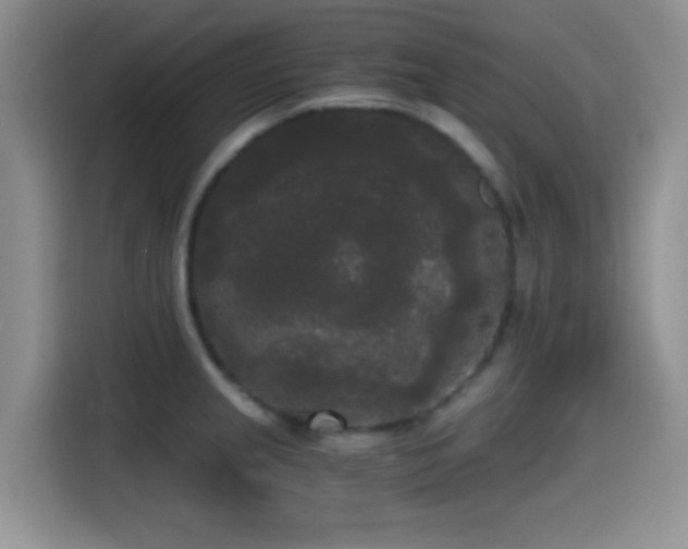 X0000114591237200910191550