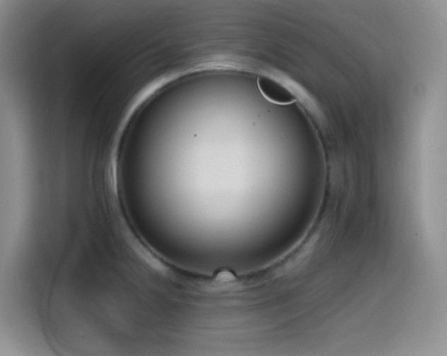 X0000114591238200910191550