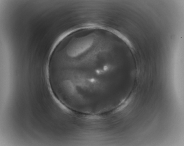 X0000114591239200910191550
