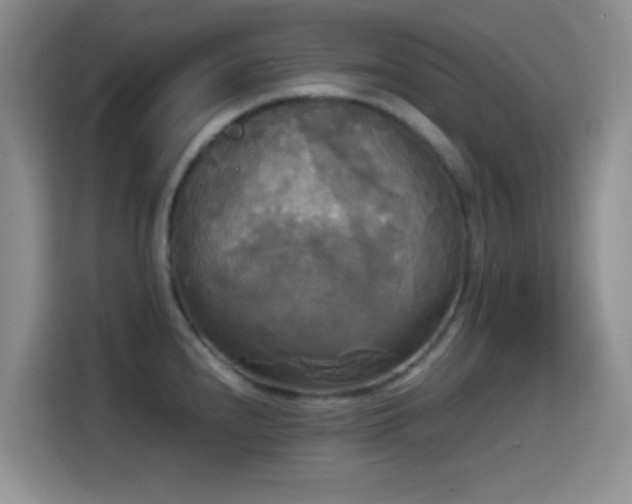 X0000114591240200910191550