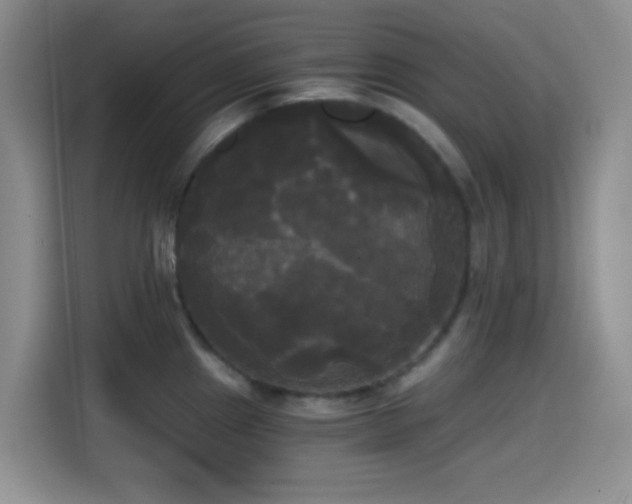 X0000114591241200910191550