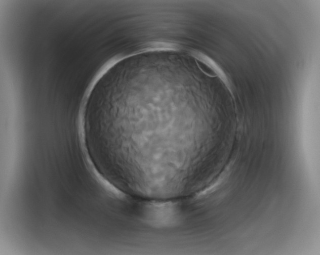 X0000114591243200910191550