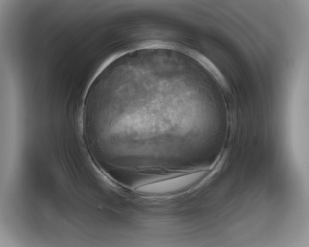 X0000114591244200910191550