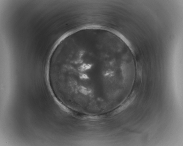 X0000114591245200910191550