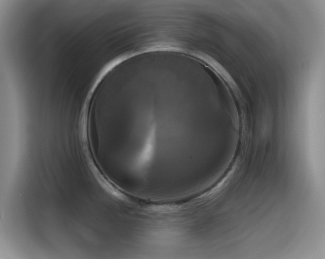 X0000114591246200910191550