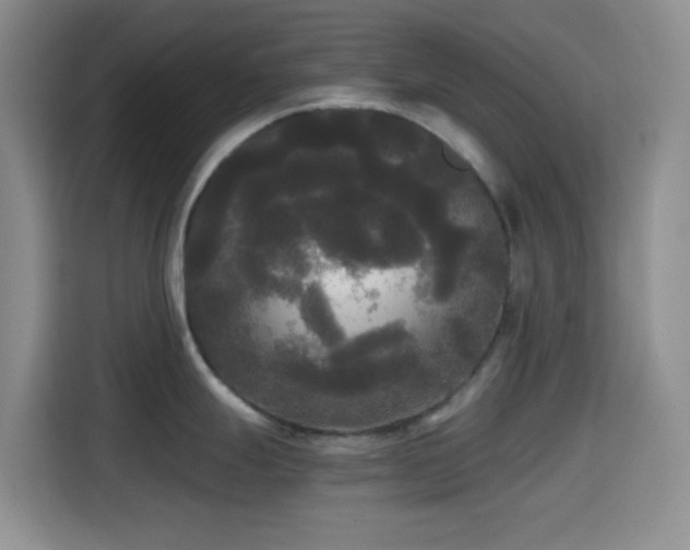 X0000114591247200910191550