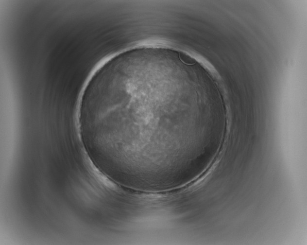 X0000114591248200910191550