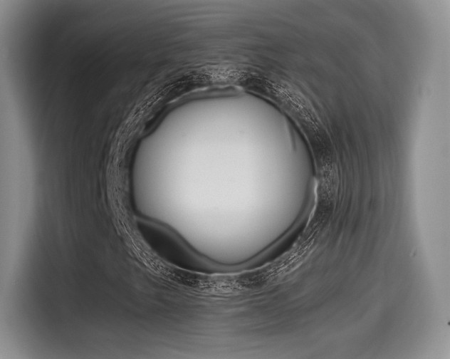 X0000114591249200910191550