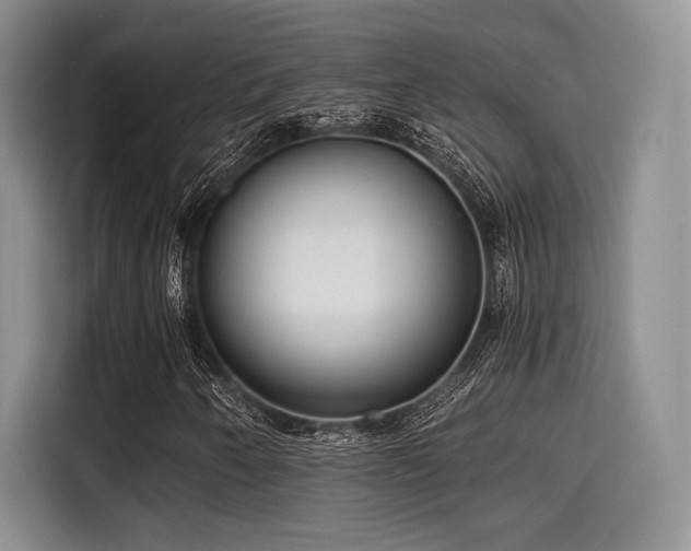 X0000114591250200910191550