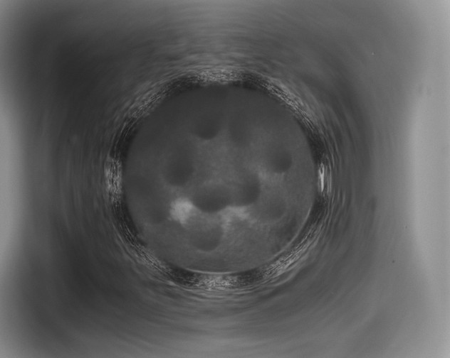 X0000114591251200910191550