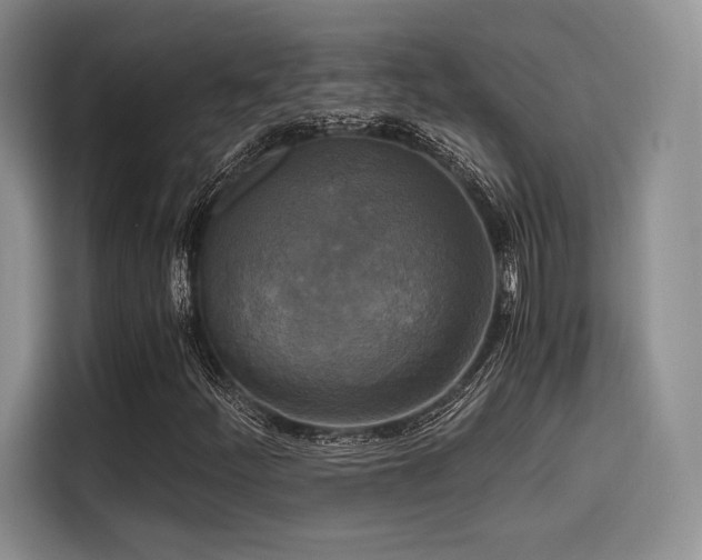X0000114591252200910191550