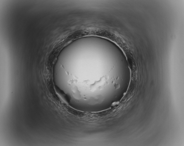 X0000114591253200910191550