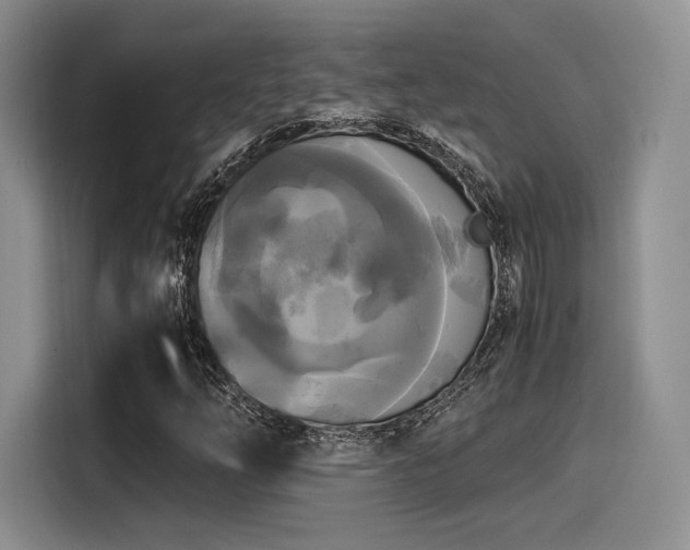 X0000114591254200910191550