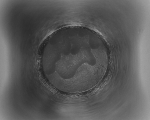 X0000114591255200910191550