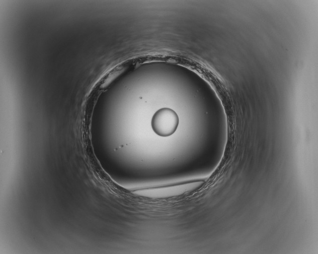 X0000114591256200910191550