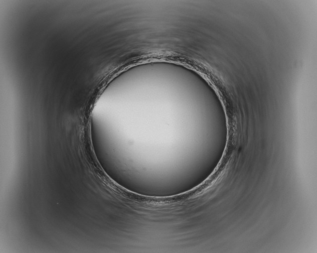X0000114591257200910191550