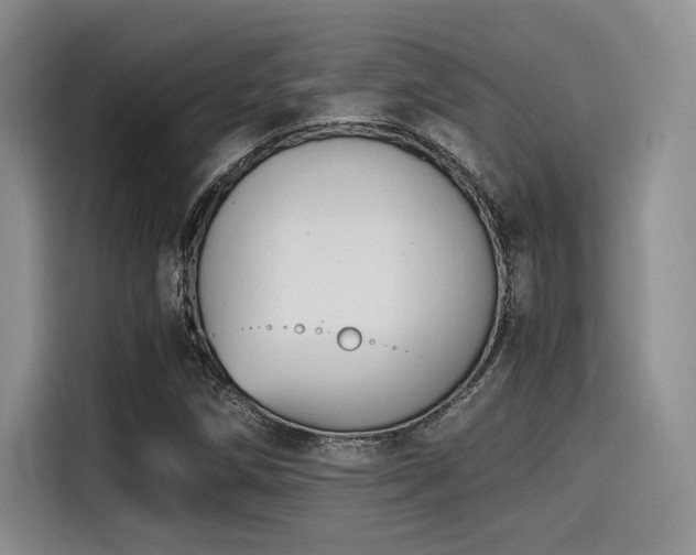 X0000114591258200910191550